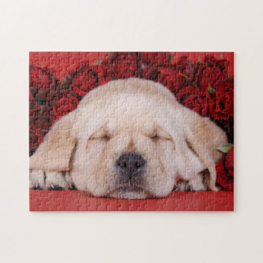 Labrador redriever puppy met rode rozen legpuzzel (Horizontaal)