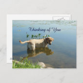 Labrador Reflection Thinking of You Briefkaart (Voorkant / Achterkant)