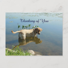 Labrador Reflection Thinking of You Briefkaart