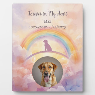 Labrador Regenboogbrug Memorial Plaquette Aquarel Fotoplaat