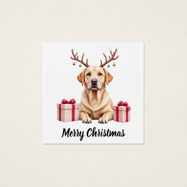 Labrador Reindeer Vierkante Visitekaartjes (Voorkant)