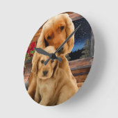 labrador rekloeg ronde klok (Hoek)