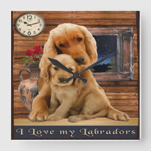 labrador rekloeg vierkante klok (Voorkant)