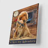 labrador rekloeg vierkante klok (Hoek)
