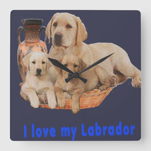 labrador reklokken vierkante klok (Voorkant)