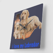 labrador reklokken vierkante klok (Hoek)