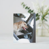 labrador rekner briefkaart (Staand voorkant)