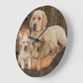 labrador rekner grote klok (Hoek)
