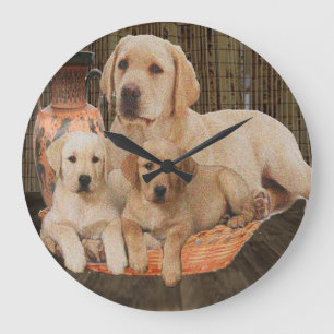 labrador rekner grote klok