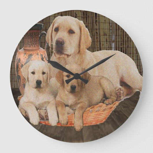 labrador rekner grote klok (Voorkant)