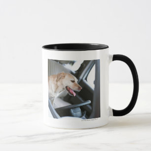 labrador rekner mok