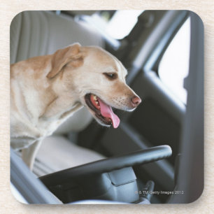 labrador rekner onderzetter