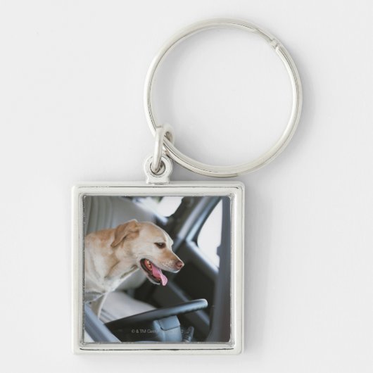 labrador rekner sleutelhanger (Voorkant)