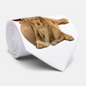 labrador rekner stropdas (Opgerold)