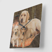 labrador rekner vierkante klok (Hoek)