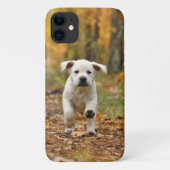 Labrador rekwalvispuppy in het najaar Case-Mate iPhone case (Achterkant)