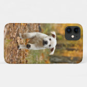 Labrador rekwalvispuppy in het najaar Case-Mate iPhone case (Achterkant (horizontaal))