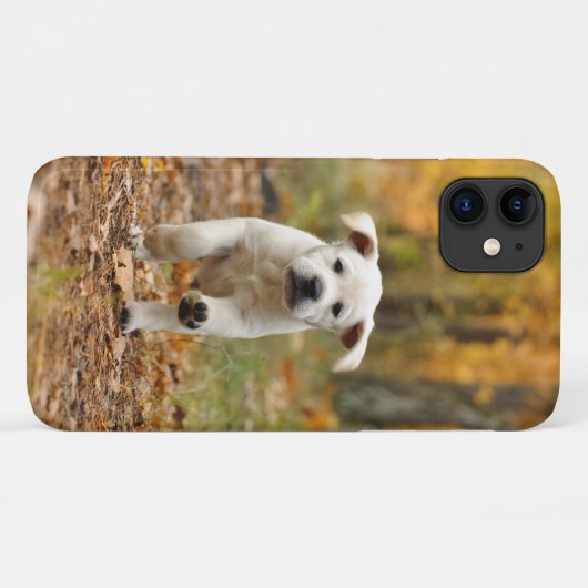 Labrador rekwalvispuppy in het najaar Case-Mate iPhone case (Achterkant (horizontaal))
