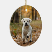 labrador rekwalvispuppy keramisch ornament (Rechts)