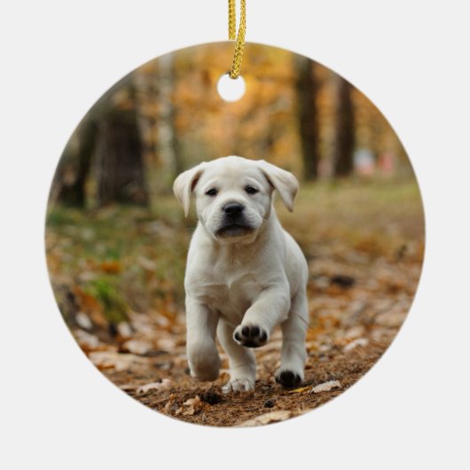 labrador rekwalvispuppy keramisch ornament (Voorkant)