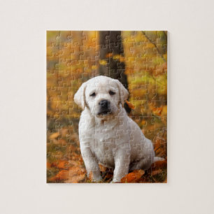 labrador rekwalvispuppy legpuzzel