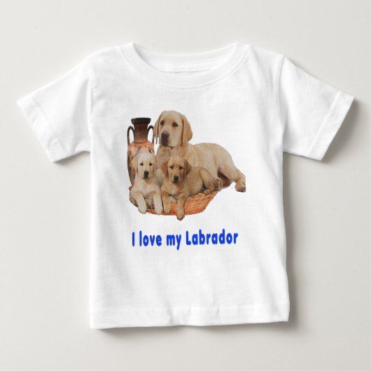 Labrador Retriever (Voorkant)