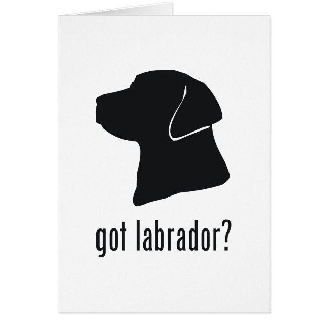 Labrador Retriever (Voorkant)