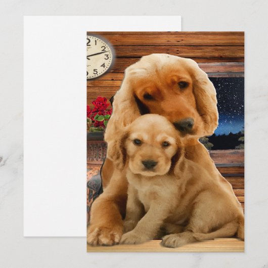 Labrador Retriever (Voorkant / Achterkant)