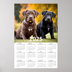 Labrador Retriever 2025 Kalender Poster