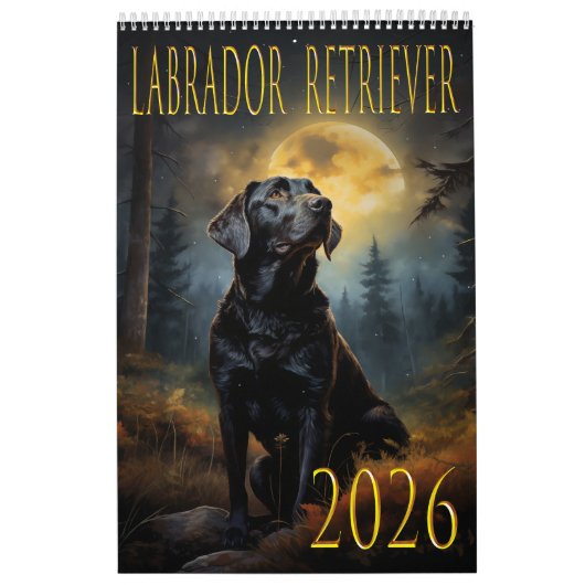 Labrador retriever 2026 wall calendar kalender (Hoes)