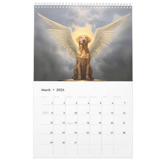 Labrador retriever 2026 wall calendar kalender (Mar 2026)