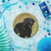 labrador-retriever-25.jpg papieren bordje (Feest)