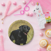 labrador-retriever-25.jpg papieren bordje (Feest)