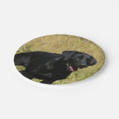 labrador-retriever-25.jpg papieren bordje (Gekanteld)