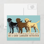 Labrador Retriever 3 kleuren Briefkaart (Voorkant / Achterkant)
