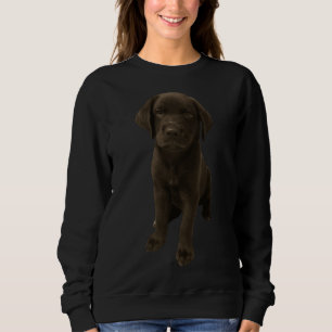 Labrador Retriever 58 Trui