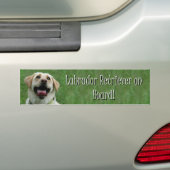Labrador Retriever aan boord van de bumpersticker (Op auto)