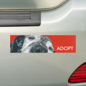 Labrador Retriever ADOPT Bumpersticker (Op auto)