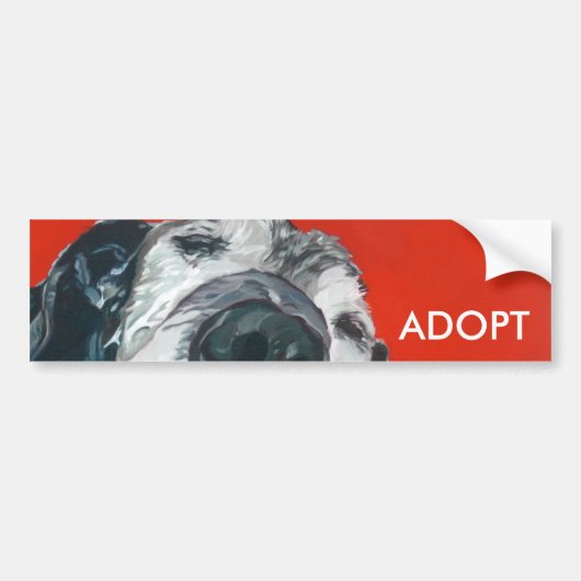 Labrador Retriever ADOPT Bumpersticker (Voorkant)