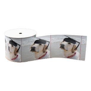 Labrador Retriever Afgestudeerd Met Hoed Grosgrain Lint