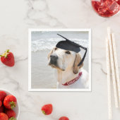 Labrador Retriever Afgestudeerd Met Hoed Servet (Insitu)