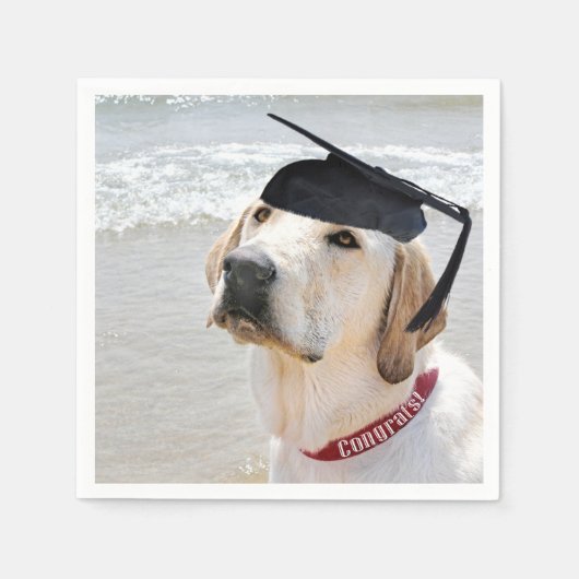 Labrador Retriever Afgestudeerd Met Hoed Servet (Voorkant)
