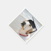 Labrador Retriever Afgestudeerd Met Hoed Servet (Hoek)