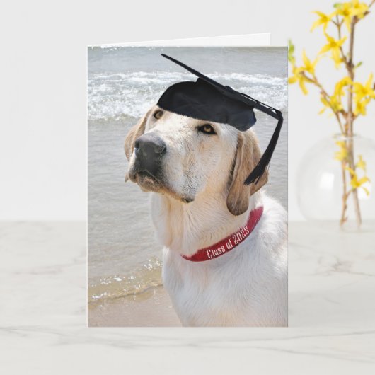 Labrador Retriever Afstuderen 2025 Kaart (Gele Bloem)