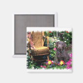 Labrador Retriever Art Gifts Magneet (Voorkant / Achterkant)