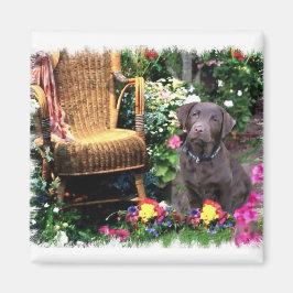 Labrador Retriever Art Gifts Magneet