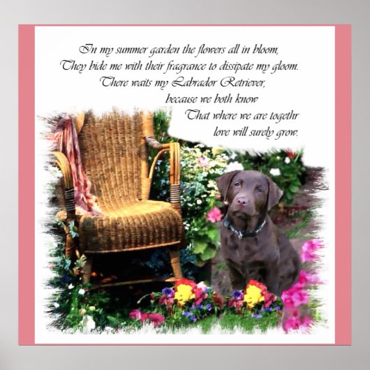 Labrador Retriever Art Gifts Poster (Voorkant)