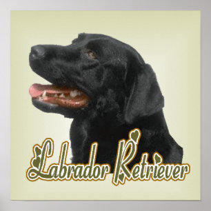 Labrador Retriever Art Print