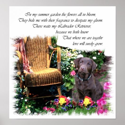 Labrador Retriever Art Print (Voorkant)