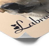 Labrador Retriever Art Prints (Hoek)